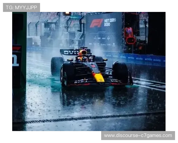 F1赛季最新动态揭秘车队策略与车手表现全解析