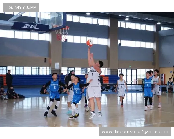 国内篮球联赛季后赛激战正酣多支球队争夺总冠军热潮持续升温